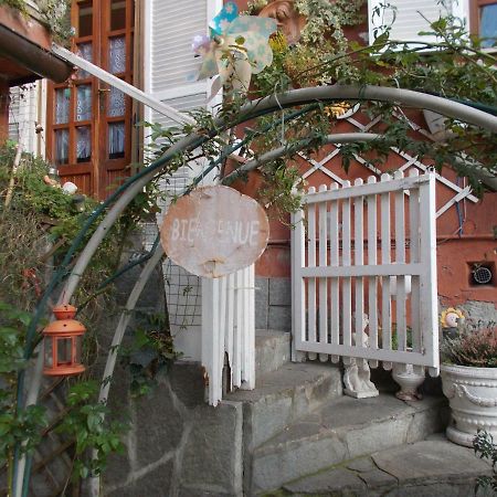 Il Granello Di Senape B&B Palazzo Canavese Экстерьер фото